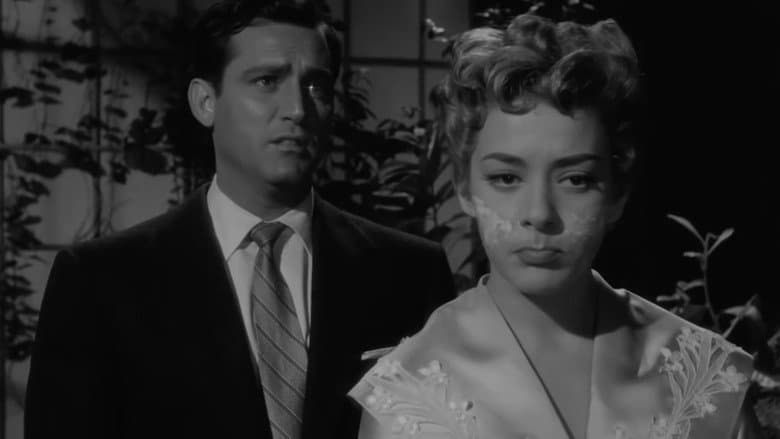 /60oSCFEd5tFXwlvtRD7FCROl6M2.jpg