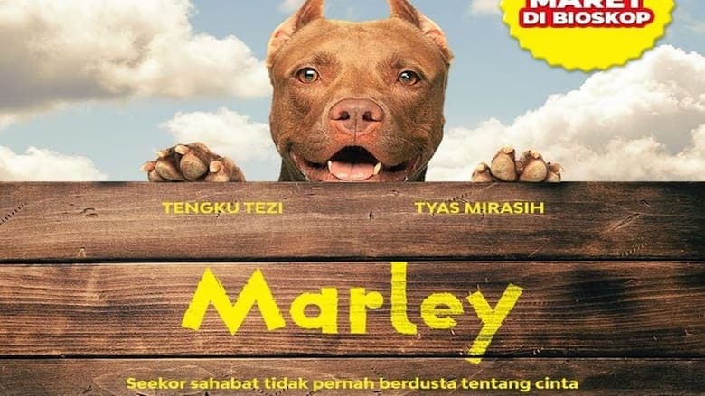 /6MbEwySakVX2SXpIfHh1hSDLSh9.jpg