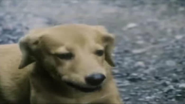 /6TQwwBbBQqESjWl3z7iPkTpQGAS.jpg