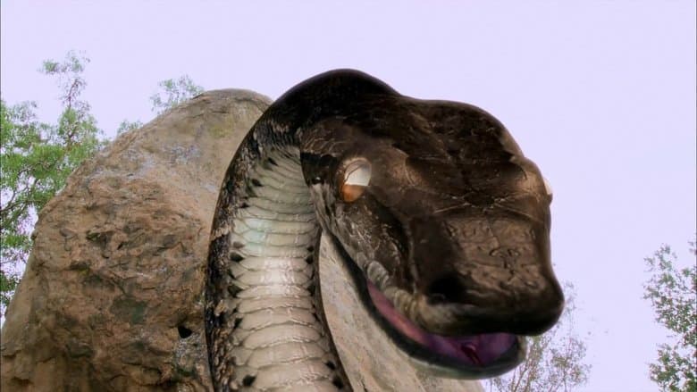 /6kYlPMD5iRMUj6BhQ0wvltnIY8e.jpg