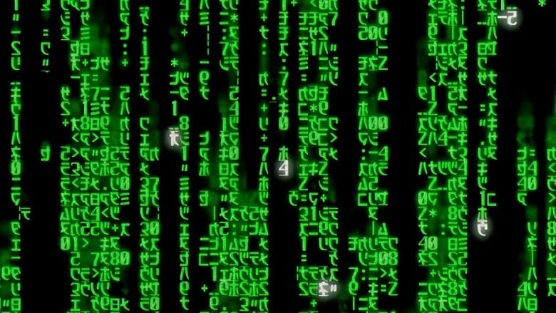 /731RRALHmDYfV47cjiYVbHqpxou.jpg