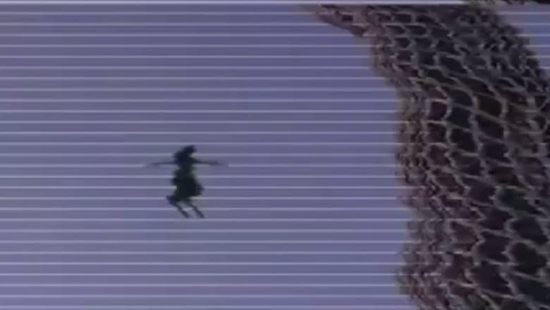 /73c3CppzL4DgJW5uGjtN0BJxAdG.jpg