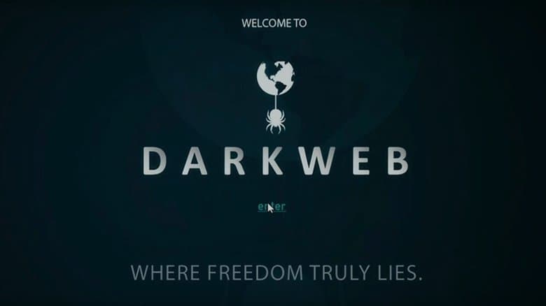 /7CJWFbNDjKDytkaOVvUE6nVLYQx.jpg