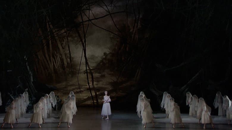 /7fQKbDjSDzuwORv1DJssimPOOnc.jpg