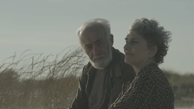 /7jzwTBxpOn8JSzLD9C19m5bAEvR.jpg