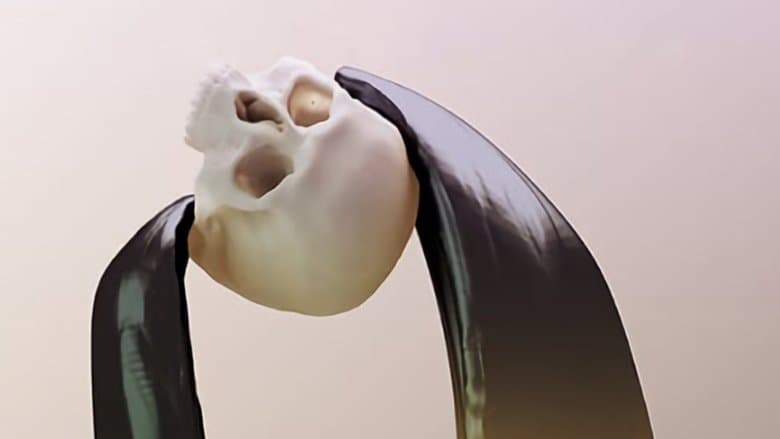/8OqVTNojPSIRncX0KFU2HVmudBx.jpg