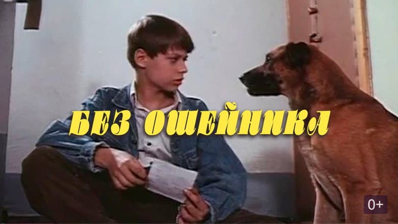 /8PkFn6hERSWswC4HT7WXWZ7kdb0.jpg