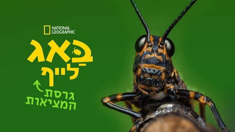 /8XGgnH0QxDYpc5Bl4dIyt1Vw8qH.jpg