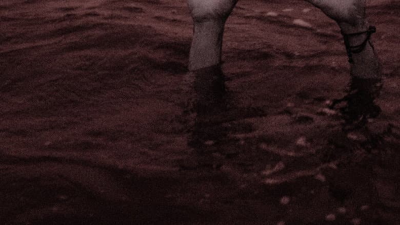 /8a2ftdRLqCAc0X1Rtw2VLVLTSim.jpg