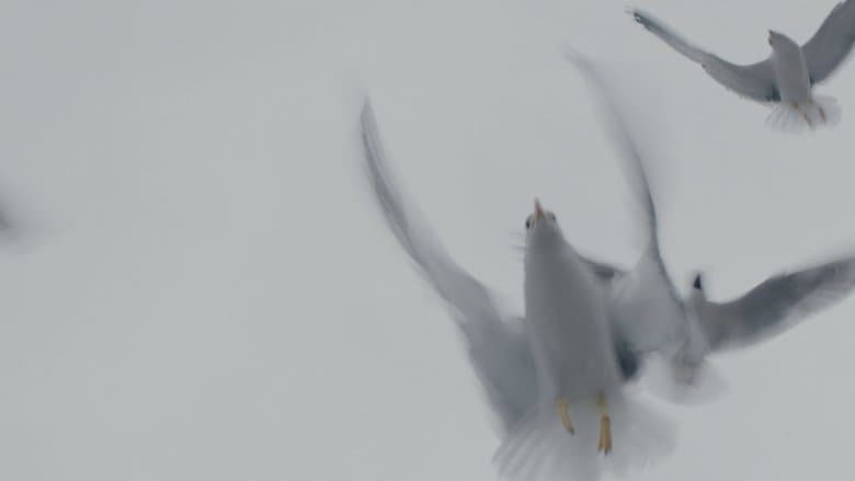 /8k8rEq7oytlCfUHn0RHwLNrKQhM.jpg