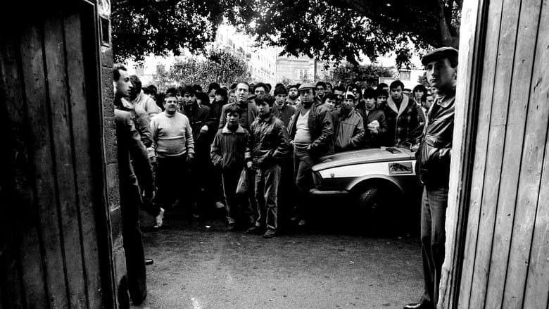 /9CA3243zRyPIFT7TeKIdEk3zzQc.jpg