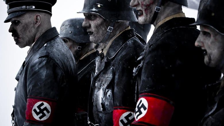 /9NFfQqQQHLCysTWroXoxbUkUwOQ.jpg