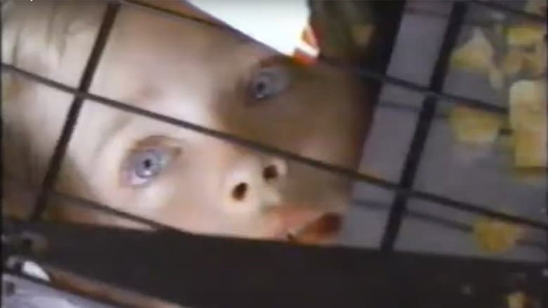 /9Py9XWPIN1IFnOFWOSKQdEAeUpK.jpg