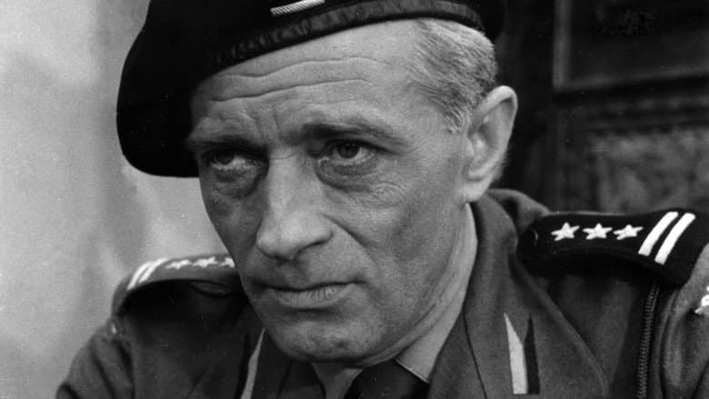 /9mvtxRETZDGSEMKFGii39TZvVPb.jpg