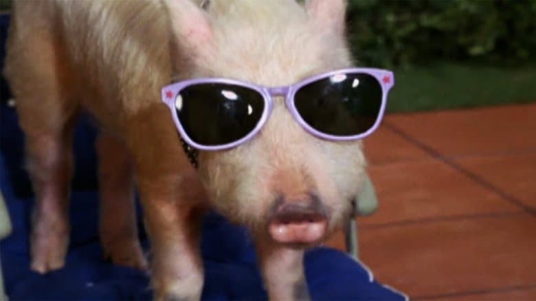 /9oyBTwDlcx1BtVcqZBbbBVVzOmO.jpg