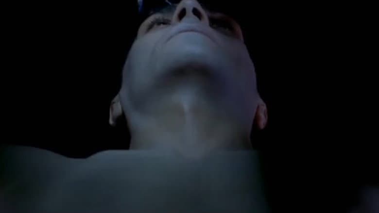 /A2pQWtb3CJIq4etzMiZNxJ6W9l0.jpg