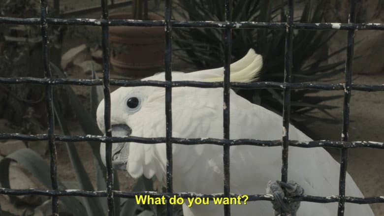 /JEvrkhONyaXs9OwXUpHEQA3D8Z.jpg
