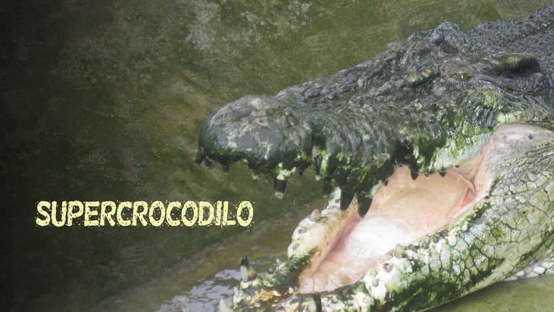 /U5zHhhkKyDRo8SkvgVcQARQWz7.jpg