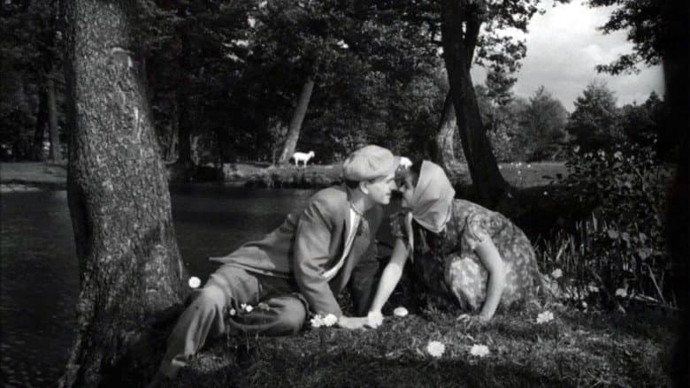/aGCFwAPallqL8OkGOjoe4f3lXC8.jpg