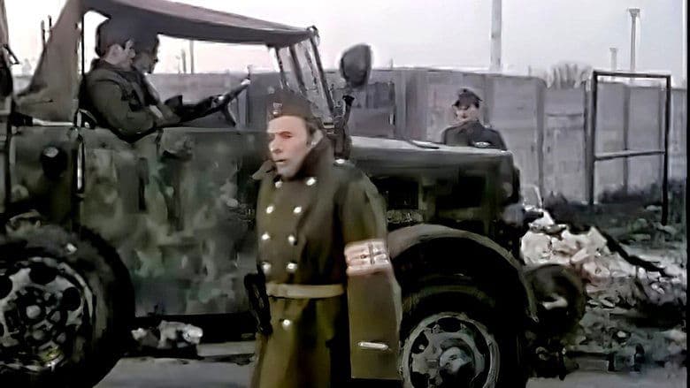 /aUhkZC8SPaFVDabhcS4KHbZvWE.jpg