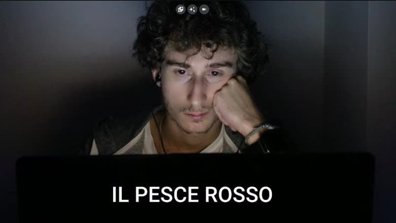 /aUzVV0gl3YADupmNpWGVgWrFg7u.jpg