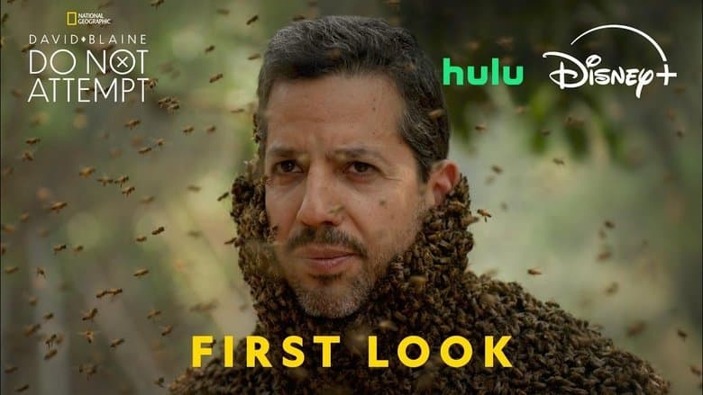 /aY8gPgAbLbpnj5Thrq7MQLI8LSl.jpg