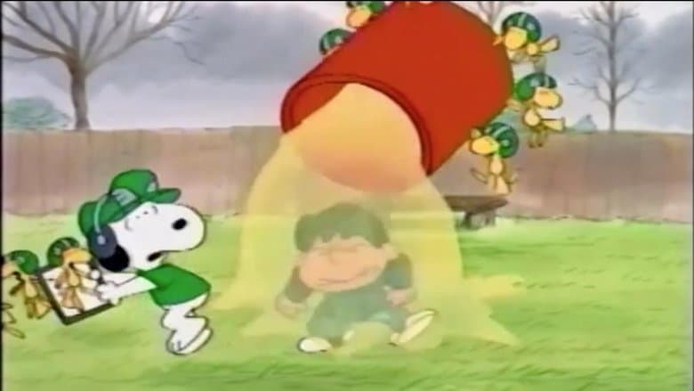 /ahefUrefzFQTUue65DUBVxXr6Rf.jpg