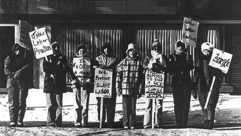 /apHeD3MRiyNV6JS58CimEYjEM3b.jpg
