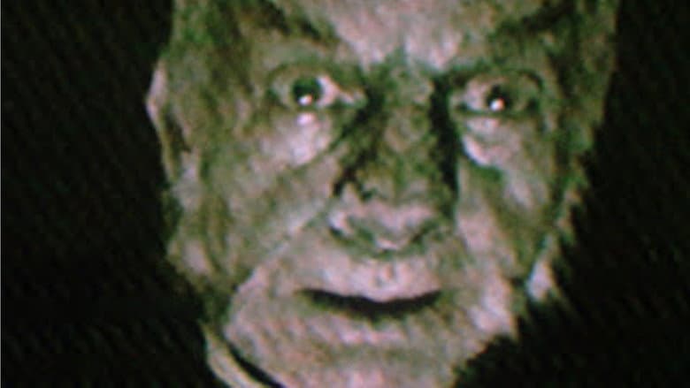 /bTJC7UNzeB28CfsR9rnWwxBzLMq.jpg