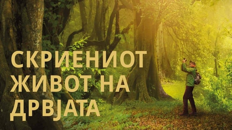 /bpBTnjL2m93qNmHQ9cemaEr9Wr7.jpg