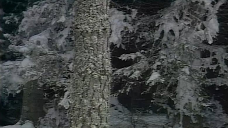 /cCTliWNiTVbm3TQa3l76sOqpzbo.jpg