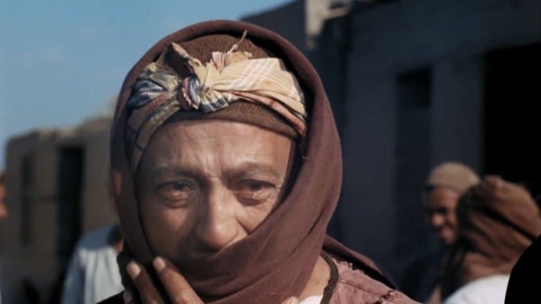 /cJOazoGKyEmTOsYt7Zu5EMzRA8P.jpg