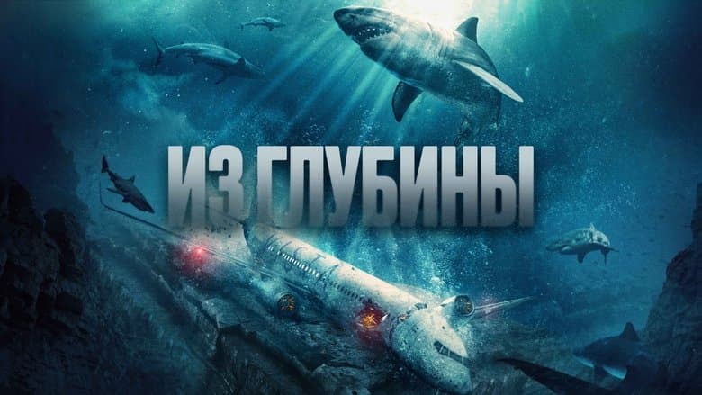 /ch6l18F9QZTcdvZkyz5tv56vMak.jpg