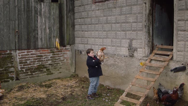 /cloavY92EBZAPmijrwGeQbd2hLe.jpg