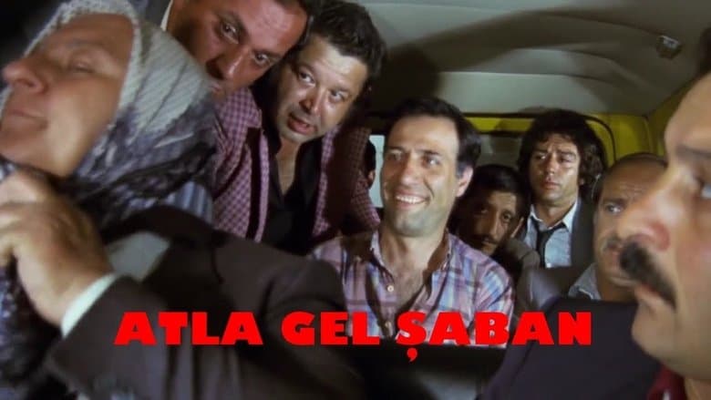 /cwh9BODgZsGQNl3jDUpv8EpYuIl.jpg