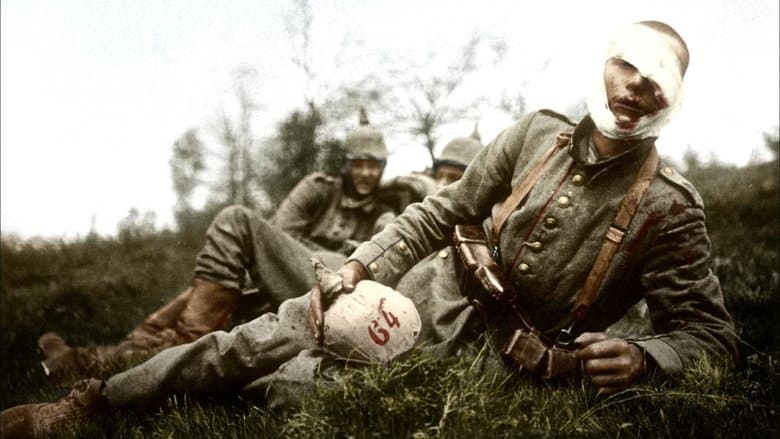 /d6LbVArF2zsPt5vjLaIti9JMIok.jpg