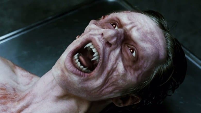 /dHIo2xVXgRXZC5lUKdcMKZNQpyw.jpg