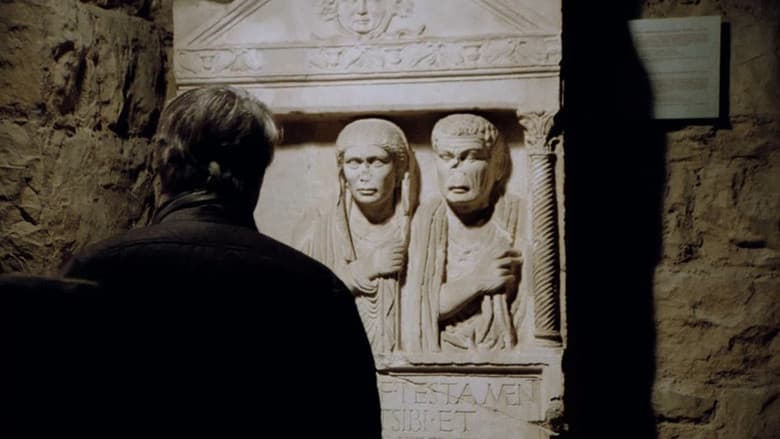 /ddHp3hBNEwV0xjK16XEWWMPxZ4D.jpg