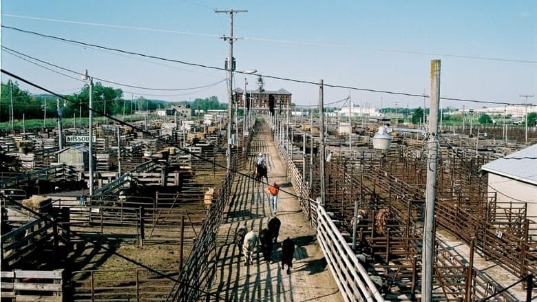 /dqQgZHEiwi9mw8jNkswi7Eotzgo.jpg