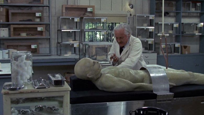 /e42w9uSbiogSZ7RE2VK1uRSENLB.jpg