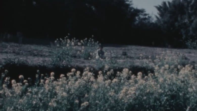 /e8ywMsScXX1X6p5cAfjljSorihF.jpg