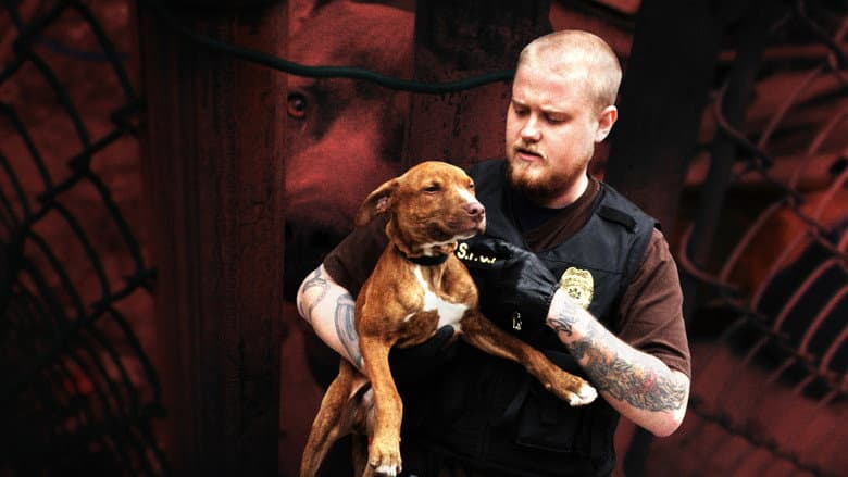 /eSnjI7c2f0oq56brgH1FKCcBJeT.jpg