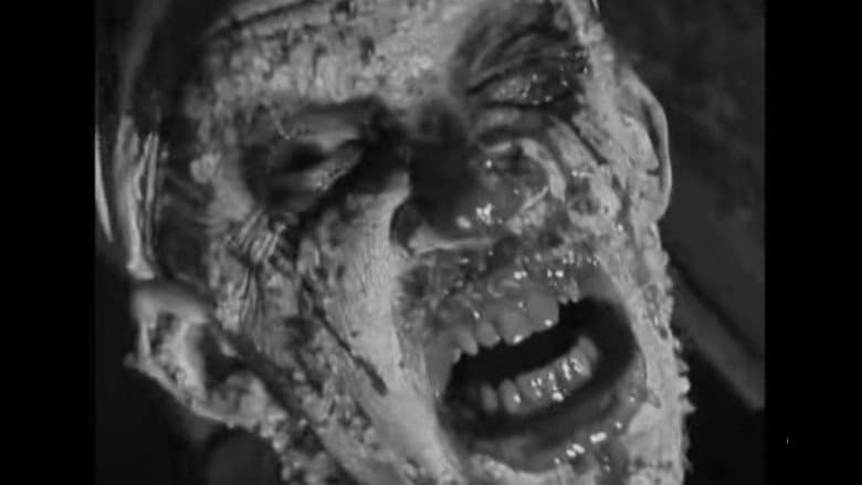 /ebDbwmoA5qdbhcdDrgJeeQxIoGG.jpg