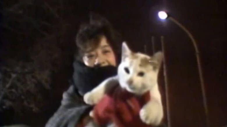 /f9MUzxOsQRYtEg0nn4IvDEtLdEG.jpg