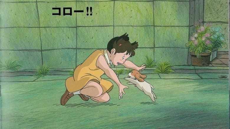 /fAb9VosSJQHt0sUi6iD8c6zCLdD.jpg