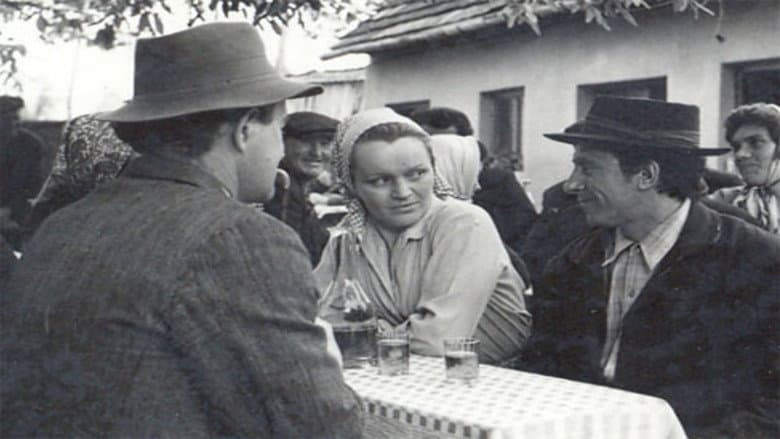 /fTkenvOqOSeE740BAKTtArEqttg.jpg