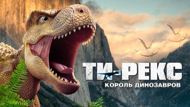 /g8TnDijfw7jojAF1LEbSgj9PTuq.jpg