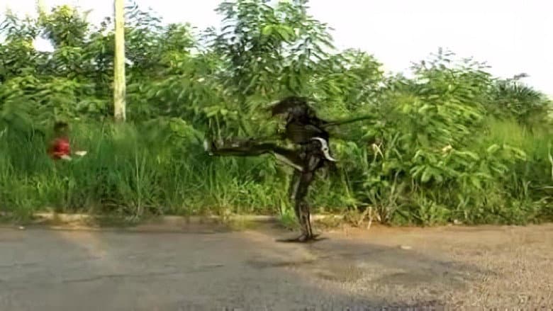 /gLxXSb1ZCiy2Bn8Sy5toU5nIlsv.jpg