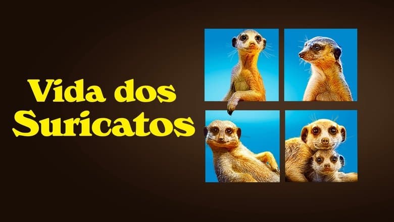 /gfavau3uu31lz3jyU3vECia8nei.jpg
