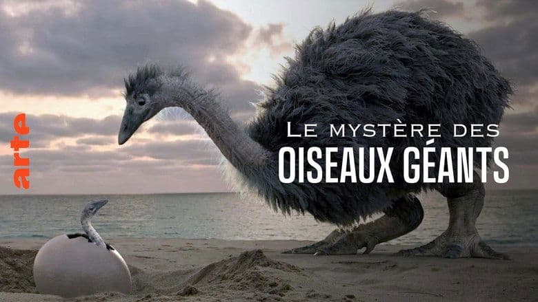 /hANxhDpyu8aSijGxO2osycuZfx5.jpg